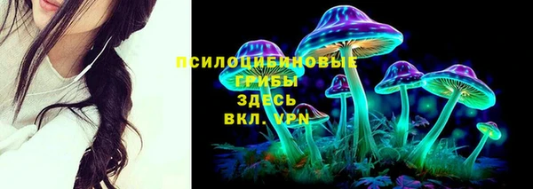 spice Аркадак