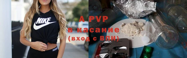 дживик Богородицк