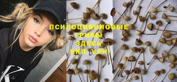 дживик Богородицк