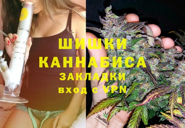 spice Аркадак