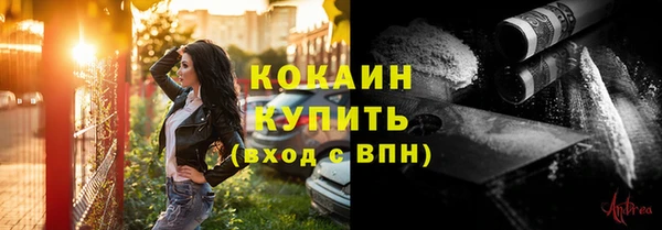 spice Аркадак